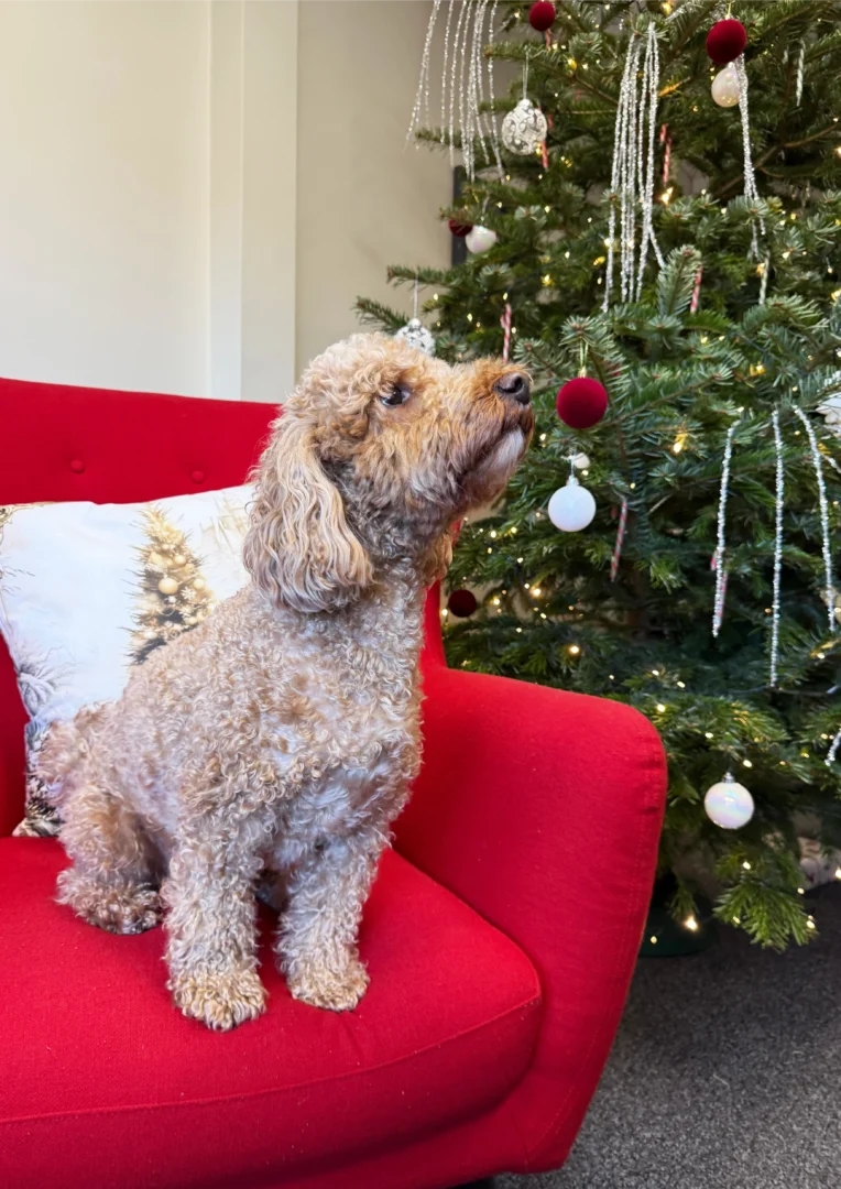 Ga Interiors Charity God In The Office Construction Industry Social Values