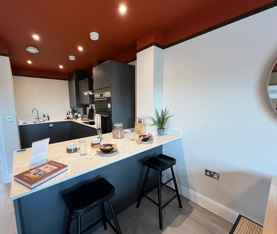 Ebbsfleet Residential Development Affordable Housing Fit Out Contractor Sfs Fire Stopping First Time Buyer Tender Fit Out Contractor Kent
